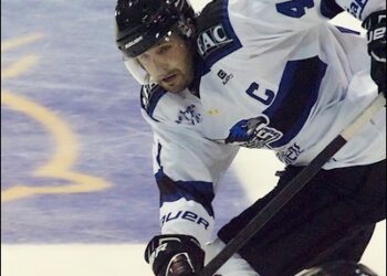 Magnus, D1, D2 : ça bouge côté transferts