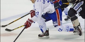 Ligue Magnus (13e journée) : Bordeaux battu, Lyon rugissant