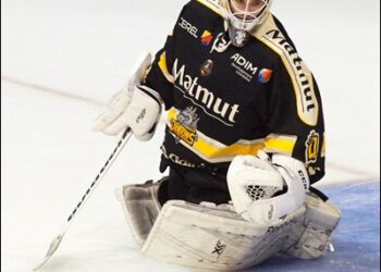 3e journée D2 : Papillon se relance