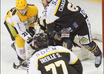 Rouen – Strasbourg (Ligue Magnus, 12e journée)
