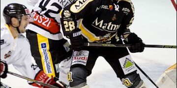 Rouen – Nice (Ligue Magnus, 11e journée)