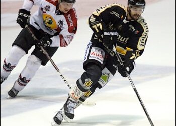 Rouen – Chamonix-Morzine (Ligue Magnus, 14e journée)