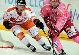 Grenoble – Épinal (Ligue Magnus, 13e journée)