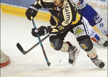 L&rsquo;équipe-type de Ligue Magnus de novembre 2016