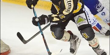 L&rsquo;équipe-type de Ligue Magnus de novembre 2016