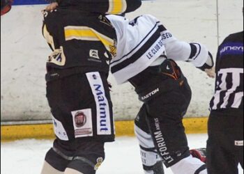 Rouen – Amiens (Ligue Magnus, 25e journée)