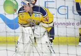 Wasquehal – Évry/Viry (Division 2, poule A, 17e journée)