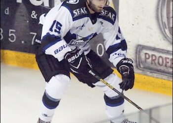 Ligue Magnus (37e journée) : positions figées en tête