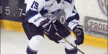 Ligue Magnus (37e journée) : positions figées en tête