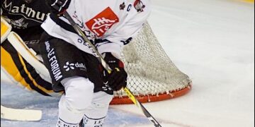 L&rsquo;équipe-type de Ligue Magnus de février 2017