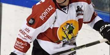 L&rsquo;équipe-type de Ligue Magnus de janvier 2017