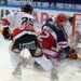 Grenoble – Nice (Ligue Magnus, 43e journée)