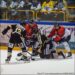 Rouen – Angers (Ligue Magnus, quart de finale, match 1)