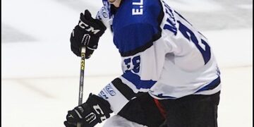 Ligue Magnus : McEachen quitte Gap pour Bordeaux