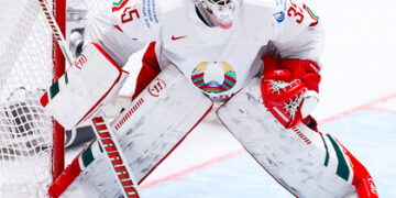 Une pépite suédoise en attendant les NHLers