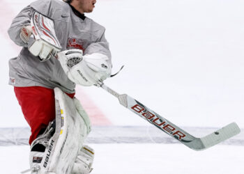 Danemark – Slovaquie (Euro Hockey Challenge 2017, match 2)