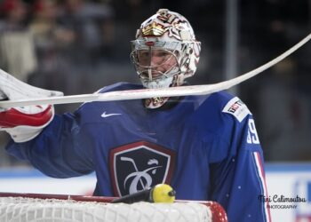 France – Slovénie (Mondial 2017, groupe B)