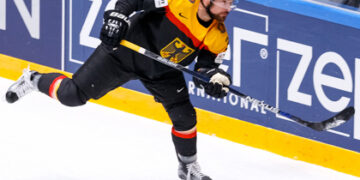 Dernières pièces du puzzle