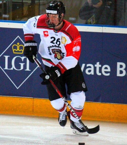 Gap – Frölunda (CHL 2017/18, groupe H, 6e journée)