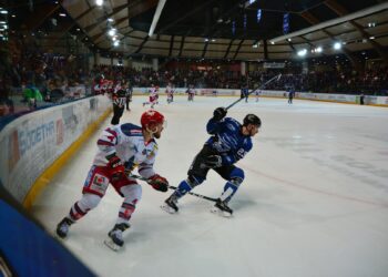 Gap – Grenoble (Ligue Magnus, 22e journée)