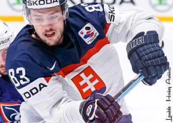 Une même ligue, trois tailles de patinoire