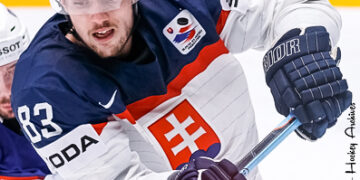 Une même ligue, trois tailles de patinoire