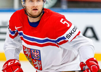 Les Tchèques en patrons