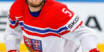 Les Tchèques en patrons