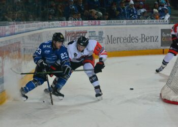 Gap – Épinal (Ligue Magnus, 25e journée)