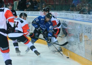 Gap – Épinal (Ligue Magnus, 25e journée)