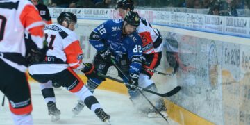 Gap – Épinal (Ligue Magnus, 25e journée)