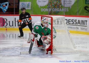 Ligue Magnus : Amiens sur le podium, Mulhouse dans le top 8