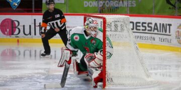 Ligue Magnus : Amiens sur le podium, Mulhouse dans le top 8