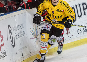 Allemagne et Suisse ouvrent une courte préparation olympique