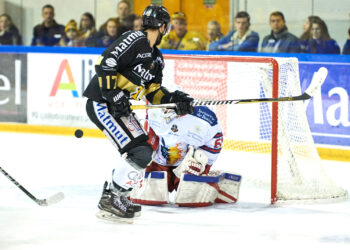 Les Dragons rugissent pour la quinzième fois