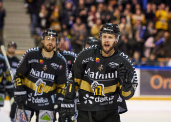 Les Dragons rugissent pour la quinzième fois