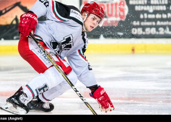 Interview de Maxime Moisand