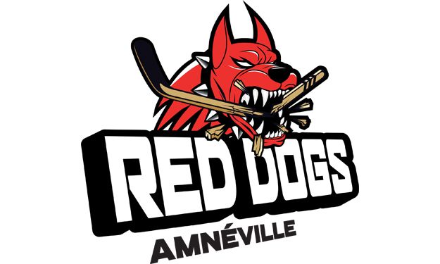 2e journée D2 : Clermont et Amnéville déjà seuls en tête