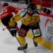 Amiens – Rouen (Ligue Magnus, 2e journée)