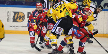 Grenoble – Rouen (Ligue Magnus, match en retard, 8e journée)