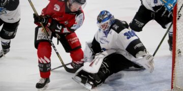 Amiens – Gap (Ligue Magnus, 7e journée)