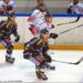 Rouen – Bordeaux (Ligue Magnus, match avancé, 10e journée)