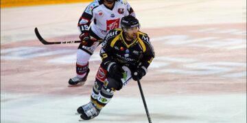 Rouen – Amiens (Ligue Magnus, 12e journée)