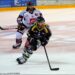 Rouen – Amiens (Ligue Magnus, 12e journée)