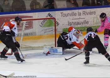 Rouen – Nice (Ligue Magnus, 14e journée)