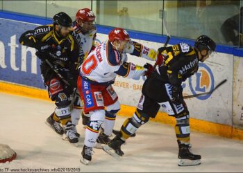 Rouen – Grenoble (Ligue Magnus, 18e journée)
