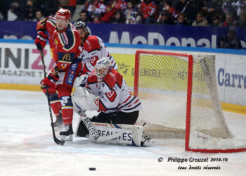 Grenoble – Angers (Ligue Magnus, 22e journée)