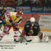 Grenoble – Chamonix (Ligue Magnus, 31e journée, match avancé)