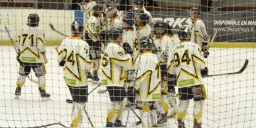Wasquehal – Strasbourg II (Division 2, poule A, 13e journée)