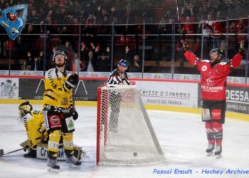 Amiens – Rouen (Ligue Magnus, 28e journée)